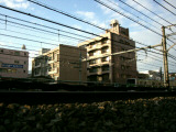 山手線の線路を歩いた思い出-15